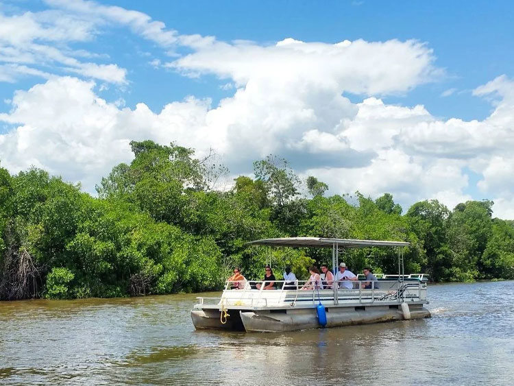black river safari