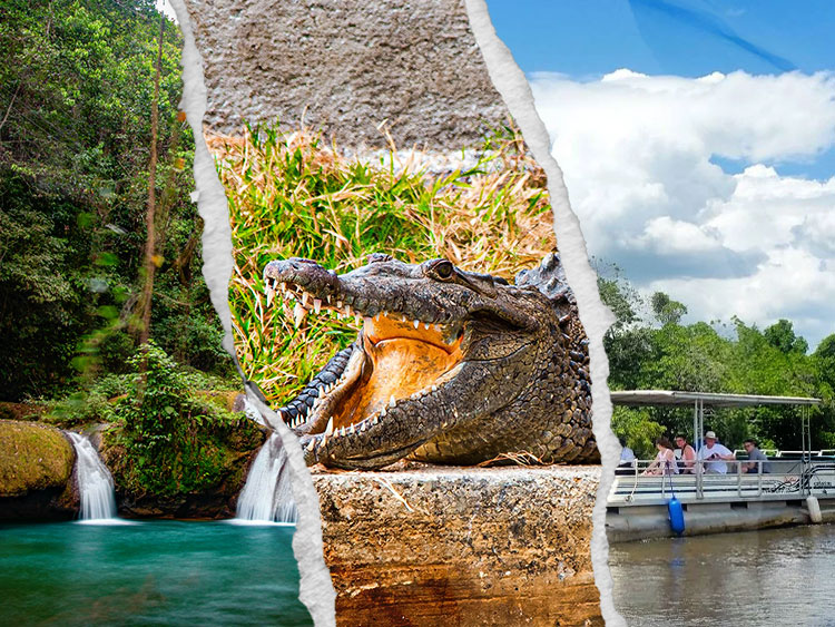 Black River Safari & Pelican Bar